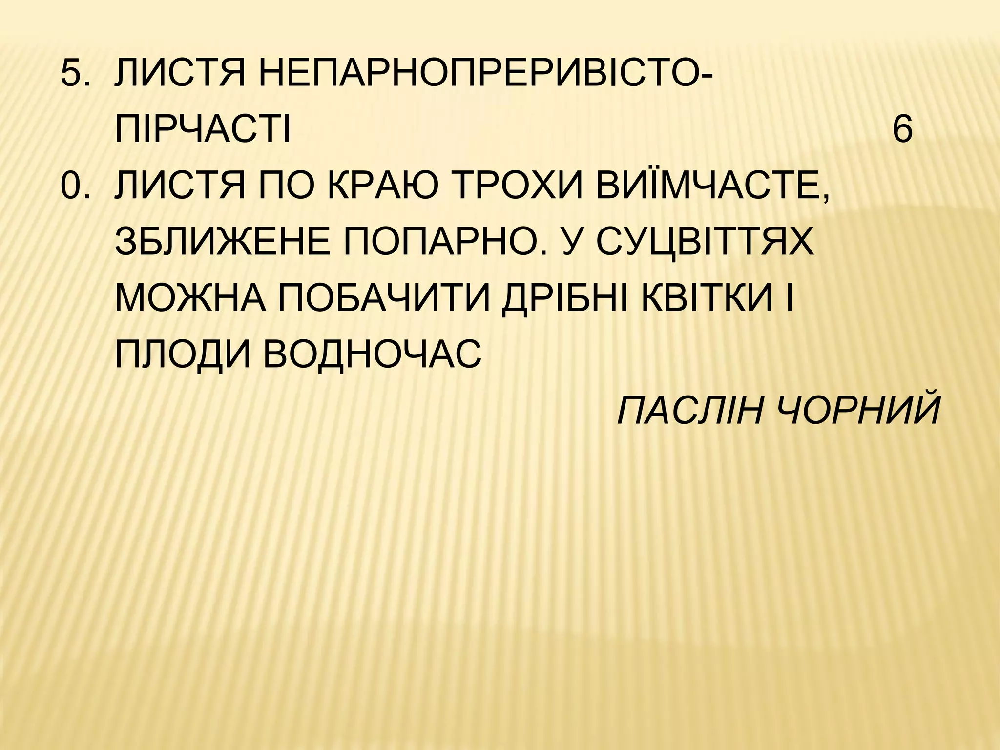 5. ЛИСТЯ НЕПАРНОПРЕРИВІСТО-
ПІРЧАСТІ 6
0. ЛИСТЯ ПО КРАЮ ТРОХИ ВИЇМЧАСТЕ,
ЗБЛИЖЕНЕ ПОПАРНО. У СУЦВІТТЯХ
МОЖНА ПОБАЧИТИ ДРІБНІ КВІТКИ І
ПЛОДИ ВОДНОЧАС
ПАСЛІН ЧОРНИЙ
 
