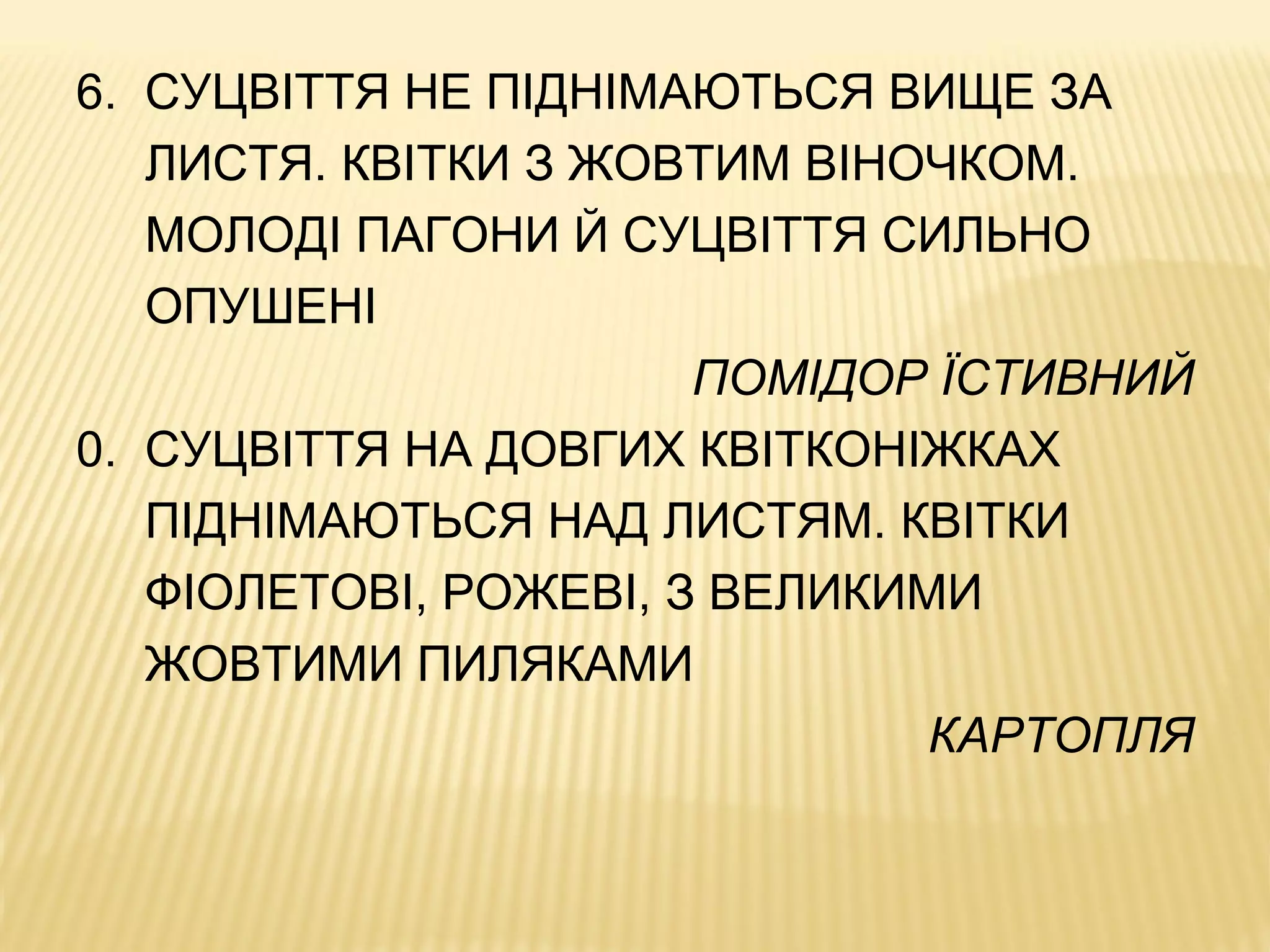 6. СУЦВІТТЯ НЕ ПІДНІМАЮТЬСЯ ВИЩЕ ЗА
ЛИСТЯ. КВІТКИ З ЖОВТИМ ВІНОЧКОМ.
МОЛОДІ ПАГОНИ Й СУЦВІТТЯ СИЛЬНО
ОПУШЕНІ
ПОМІДОР ЇСТИВНИЙ
0. СУЦВІТТЯ НА ДОВГИХ КВІТКОНІЖКАХ
ПІДНІМАЮТЬСЯ НАД ЛИСТЯМ. КВІТКИ
ФІОЛЕТОВІ, РОЖЕВІ, З ВЕЛИКИМИ
ЖОВТИМИ ПИЛЯКАМИ
КАРТОПЛЯ
 
