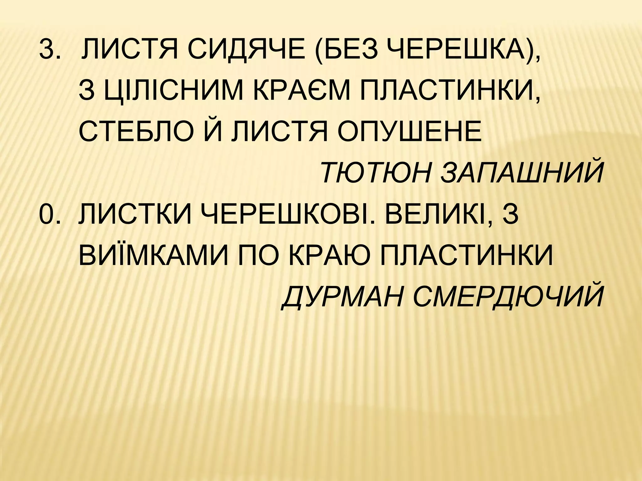 3. ЛИСТЯ СИДЯЧЕ (БЕЗ ЧЕРЕШКА),
З ЦІЛІСНИМ КРАЄМ ПЛАСТИНКИ,
СТЕБЛО Й ЛИСТЯ ОПУШЕНЕ
ТЮТЮН ЗАПАШНИЙ
0. ЛИСТКИ ЧЕРЕШКОВІ. ВЕЛИКІ, З
ВИЇМКАМИ ПО КРАЮ ПЛАСТИНКИ
ДУРМАН СМЕРДЮЧИЙ
 