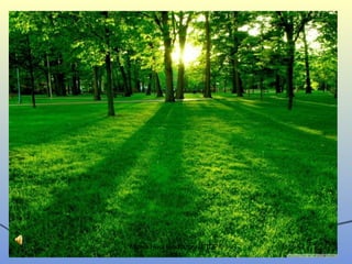 Mірча Ніна Викладач ЦППРК
№1
 