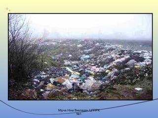 Mірча Ніна Викладач ЦППРК
№1
 