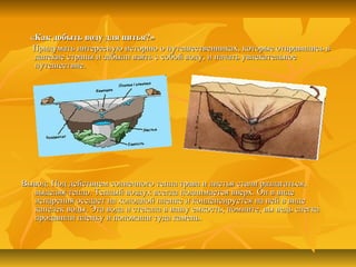 «Как добыть воду для питья?»«Как добыть воду для питья?»
Придумать интересную историю о путешественниках, которые отправились вПридумать интересную историю о путешественниках, которые отправились в
далекие страны и забыли взять с собой воду, и начать увлекательноедалекие страны и забыли взять с собой воду, и начать увлекательное
путешествие.путешествие.
Вывод: Под действием солнечного тепла трава и листья стали разлагаться,Вывод: Под действием солнечного тепла трава и листья стали разлагаться,
выделяя тепло. Теплый воздух всегда поднимается вверх. Он в видевыделяя тепло. Теплый воздух всегда поднимается вверх. Он в виде
испарения оседает на холодной пленке и конденсируется на ней в видеиспарения оседает на холодной пленке и конденсируется на ней в виде
капелек воды. Эта вода и стекала в вашу емкость; помните, вы ведь слегкакапелек воды. Эта вода и стекала в вашу емкость; помните, вы ведь слегка
продавили пленку и положили туда камень.продавили пленку и положили туда камень.
 