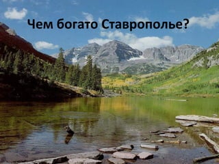 Чем богато Ставрополье?
 