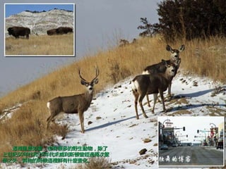@eL箋ҲкܶҰ
o5070ĩ˹D^ɴη
s֮⣬ĕr@erʲN׃
 