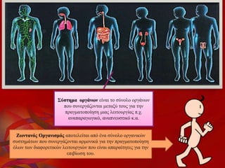 Σύστημα οργάνων είναι το σύνολο οργάνων
που συνεργάζονται μεταξύ τους για την
πραγματοποίηση μιας λειτουργίας π.χ.
αναπαραγωγικό, αναπνευστικό κ.α.
Ζωντανός Οργανισμός αποτελείται από ένα σύνολο οργανικών
συστημάτων που συνεργάζονται αρμονικά για την πραγματοποίηση
όλων των διαφορετικών λειτουργιών που είναι απαραίτητες για την
επιβίωση του.
 