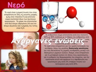 Το νερό είναι η χημική ένωση που είναι
απαραίτητη σε όλες τις γνωστές μορφές
ζωής στον πλανήτη Γη και αποτελεί
κύριο συστατικό όλων των ζωντανών
οργανισμών. Το μόριο του αποτελείται
από δύο άτομα υδρογόνου (Η) και ένα
άτομο οξυγόνου και ο χημικός του τύπος
είναι Η2Ο.
Η Η
Ο
Το ανθρώπινο σώμα αποτελείται κατά ένα ποσοστό
60% με 80% ανάλογα με το βάρος του ανθρώπου από
νερό. Το ποσοστό αυτό ανεβαίνει στην περίπτωση ενός
και μόνο κυττάρου του ανθρώπινου οργανισμού και
κυμαίνεται μεταξύ 70-90%.
Το νερό είναι απαραίτητο για την ομαλή λειτουργία του
κυττάρου, λόγω της μεγάλης διαλυτικής ικανότητας
του που διευκολύνει τις χημικές αντιδράσεις μεταξύ των
διαλυμένων χημικών ουσιών. Ακόμα, είναι απαραίτητο
για τη μεταφορά ουσιών σε όλους τους οργανισμούς,
για τη ρύθμιση της θερμοκρασίας του σώματος, για την
προστασία ιστών και οργάνων κ.α. Αφυδάτωση του
οργανισμού μας κατά 2% επιφέρει πτώση των
λειτουργιών μας κατά 20%.
 