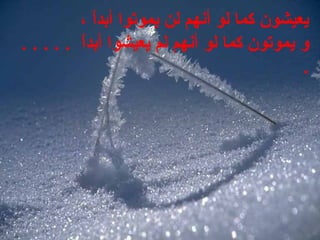 ، ،‫ا‬ً ‫يعيشون، كما، لو، أنهم، لن، يموتوا، أبد‬ ،
‫و، يموتون، كما، لو‬ ،‫ا‬ً ‫أنهم، لم، يعيشوا، أبد‬ ،. ،. ،. ،. ،. ، ،
 ،.
 