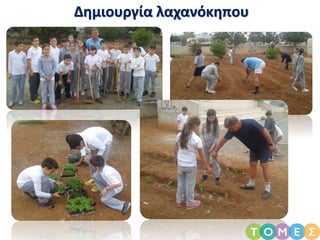 Δημιουργία λαχανόκηπου
 