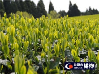 ¹褬ޤ