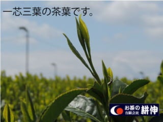 ¹褬ޤ