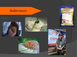 ตัวอย่าง
สัมผัสภายนอก
 