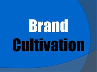 Brand
Cultivation
 