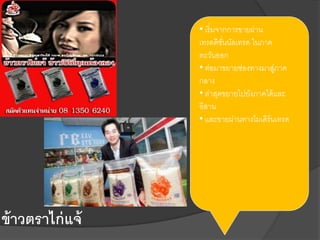 ข้าวตราไก่แจ้
• เริ่มจากการขายผ่าน
เทรดดิชั่นนัลเทรด ในภาค
ตะวันออก
• ต่อมาขยายช่องทางมาสู่ภาค
กลาง
• ล่าสุดขยายไปยังภาคใต้และ
อีสาน
• และขายผ่านทางโมเดิร์นเทรด
 