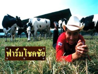 โชค บูลกุลฟาร์มโชคชัย
 