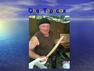 ООллеегг ТТаарраассююкк
 