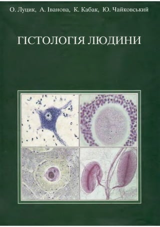 Гістологія людини. О. Д.Луцик,  Київ, 2003