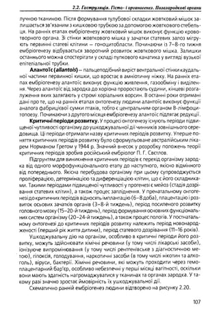 Гістологія людини. О. Д.Луцик,  Київ, 2003