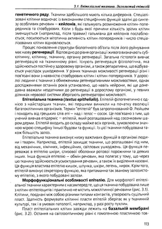 Гістологія людини. О. Д.Луцик,  Київ, 2003