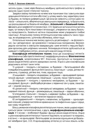 Гістологія людини. О. Д.Луцик,  Київ, 2003