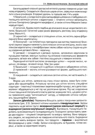 Гістологія людини. О. Д.Луцик,  Київ, 2003