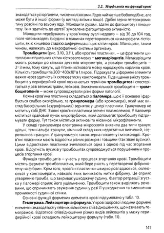 Гістологія людини. О. Д.Луцик,  Київ, 2003