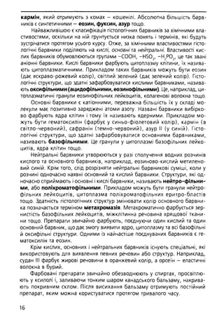 Гістологія людини. О. Д.Луцик,  Київ, 2003