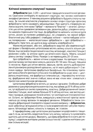 Гістологія людини. О. Д.Луцик,  Київ, 2003