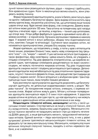 Гістологія людини. О. Д.Луцик,  Київ, 2003