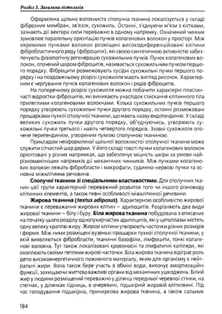 Гістологія людини. О. Д.Луцик,  Київ, 2003