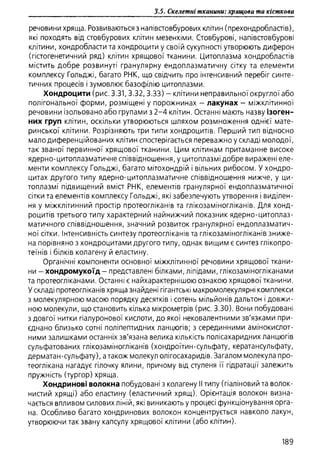 Гістологія людини. О. Д.Луцик,  Київ, 2003