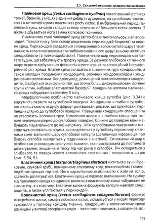 Гістологія людини. О. Д.Луцик,  Київ, 2003