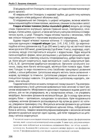 Гістологія людини. О. Д.Луцик,  Київ, 2003