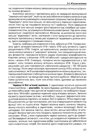 Гістологія людини. О. Д.Луцик,  Київ, 2003