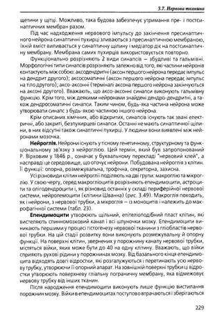 Гістологія людини. О. Д.Луцик,  Київ, 2003