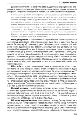 Гістологія людини. О. Д.Луцик,  Київ, 2003