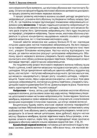 Гістологія людини. О. Д.Луцик,  Київ, 2003