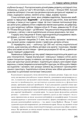 Гістологія людини. О. Д.Луцик,  Київ, 2003