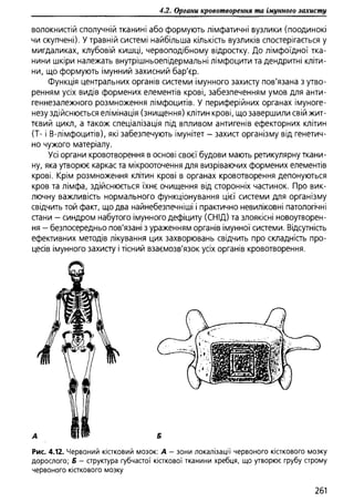 Гістологія людини. О. Д.Луцик,  Київ, 2003