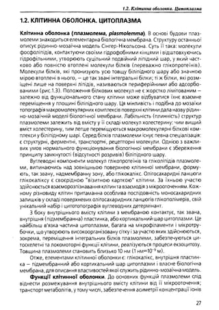 Гістологія людини. О. Д.Луцик,  Київ, 2003