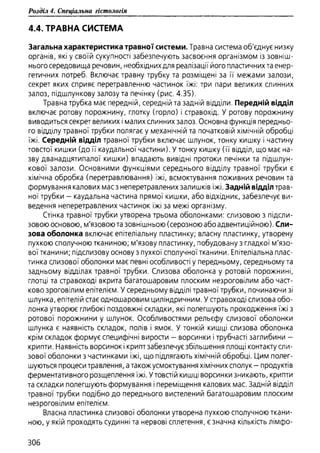 Гістологія людини. О. Д.Луцик,  Київ, 2003