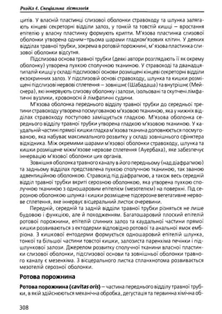 Гістологія людини. О. Д.Луцик,  Київ, 2003