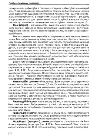 Гістологія людини. О. Д.Луцик,  Київ, 2003