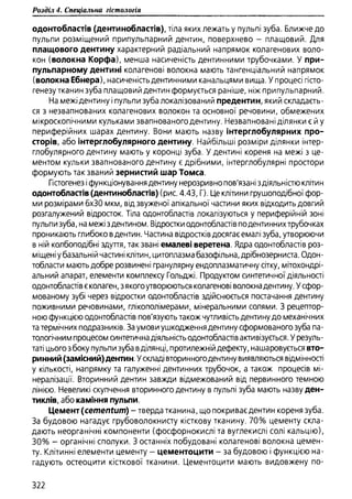 Гістологія людини. О. Д.Луцик,  Київ, 2003