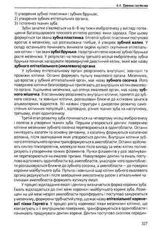 Гістологія людини. О. Д.Луцик,  Київ, 2003