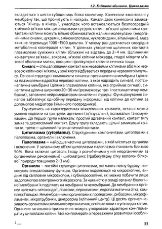 Гістологія людини. О. Д.Луцик,  Київ, 2003