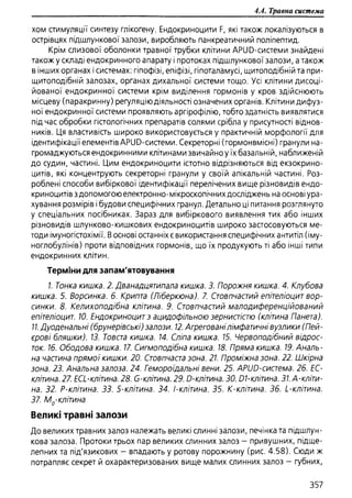 Гістологія людини. О. Д.Луцик,  Київ, 2003