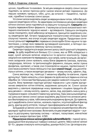 Гістологія людини. О. Д.Луцик,  Київ, 2003