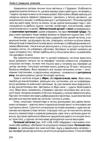 Гістологія людини. О. Д.Луцик,  Київ, 2003