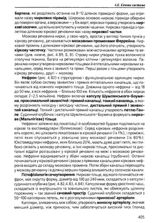 Гістологія людини. О. Д.Луцик,  Київ, 2003