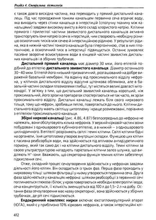 Гістологія людини. О. Д.Луцик,  Київ, 2003